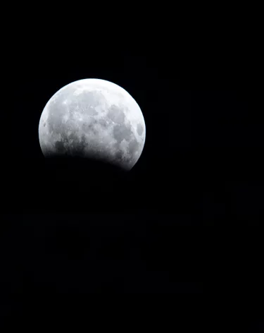 За ночь силы ПВО сбили более 40 БПЛА над регионами РФ и Чёрным морем