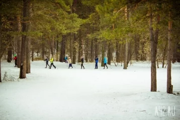 Фото: 35 кузбасских чиновников сдали нормы ГТО по бегу на лыжах 1