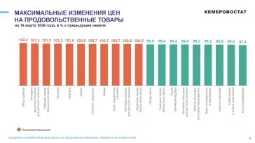 Инфографика: Кемеровостат