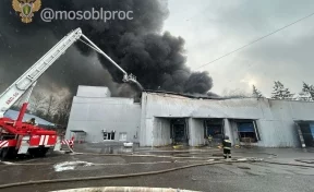 Названа возможная причина пожара на складе пластиковой тары в Подмосковье