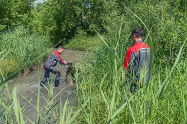 Фото: Волонтёры УК «Кузбассразрезуголь» провели экосубботник в рамках акции «Вода России» 3