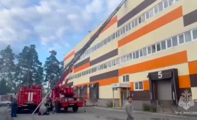 Мощный пожар на складе в Екатеринбурге тушили более 80 человек
