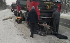 На трассе в Кузбассе замёрзли три грузовика: потребовалась помощь спасателей