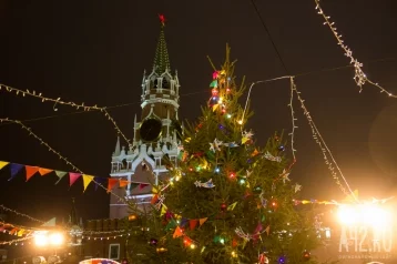 Фото: В Москве неизвестный мужчина пытался поджечь новогоднюю ёлку на Красной площади 1