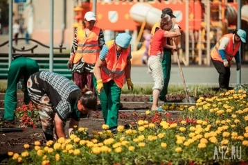 Фото: В Кемерове высадили более 500 000 цветов с начала сезона 1