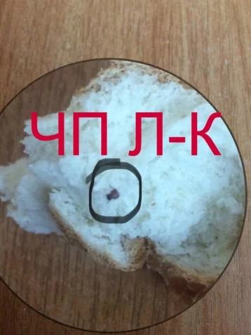 Фото: Жительница Кузбасса нашла в булочке из магазина неприятный сюрприз 1