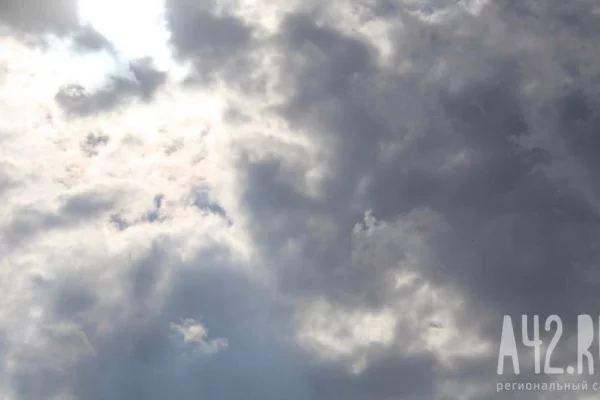 Силы ПВО за ночь перехватили и уничтожили более 80 БПЛА над российскими регионами