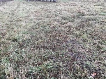 Фото: В Кузбассе Россельхознадзор обязал владельцев вернуть в оборот брошенные земли 2