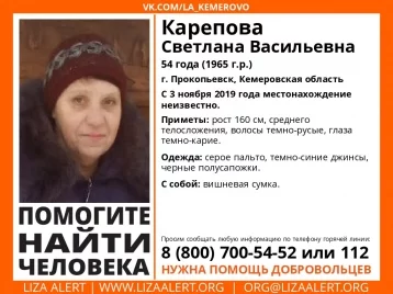 Фото: В Кузбассе больше недели разыскивают пропавшую женщину 1