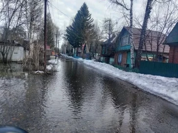 Фото: В Новокузнецком округе вода подтопила три садовых товарищества 1