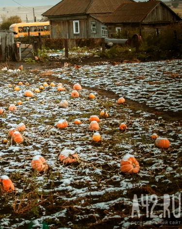 Избегать вечеринок и испечь медовый пирог: народные приметы на 11 октября