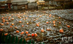 Избегать вечеринок и испечь медовый пирог: народные приметы на 11 октября