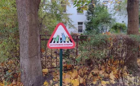 На дорогах России появилось несколько новых дорожных знаков