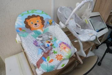 Фото: Мэр Кемерова: услугами пункта проката для новорождённых воспользовалась 51 семья  3