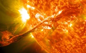 Учёный рассказал, когда Солнце сожжёт Землю