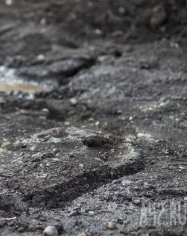 Михайлов день или Михайловские грязи: народные приметы на 21 ноября