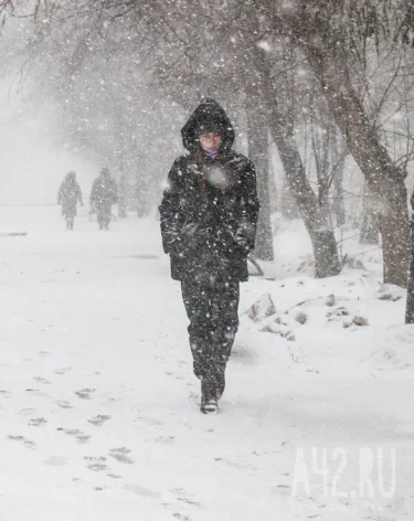 Фото: А42.RU