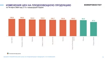 Фото: В Кузбассе за неделю цены на картофель выросли на 6%, огурцы подешевели на 12% 1