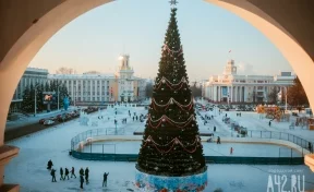 Стало известно, кто установит ель за 18 миллионов рублей на площади Советов в Кемерове