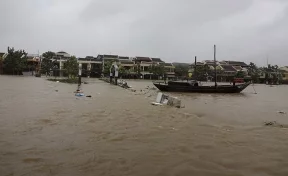 В результате тайфуна «Дамри» во Вьетнаме погибли 89 человек