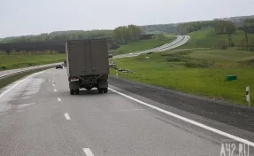 Кузбассовцы заметили бобра на дороге